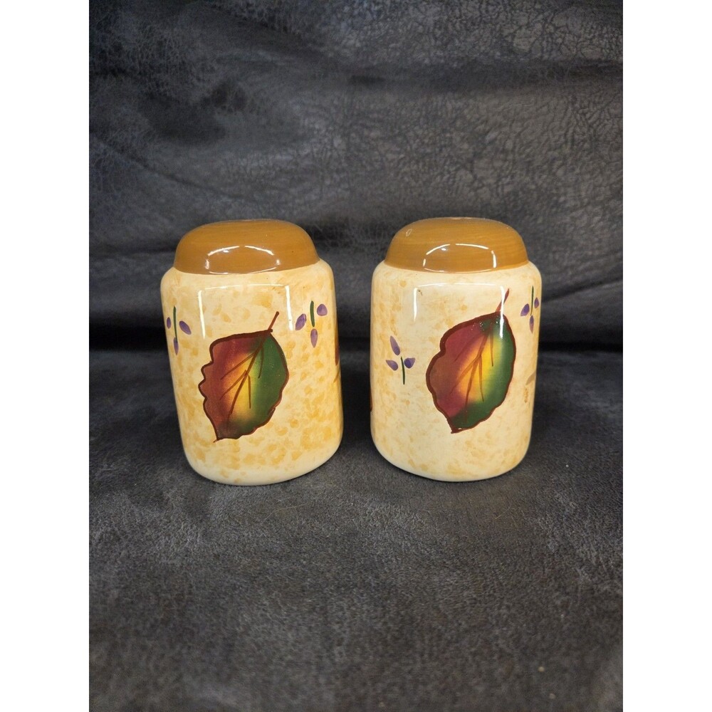 Asia Master Group Fall Harvest Leaves Ceramic Salt & Pepper Shakers Set Vintage